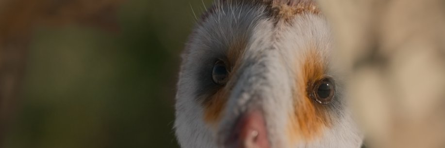 kkwktty's profile banner image