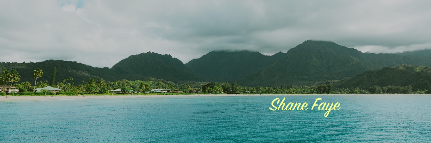 Shane Faye banner