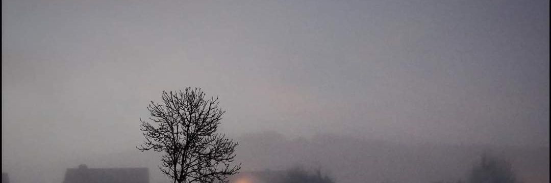 rauro_rr's profile banner image