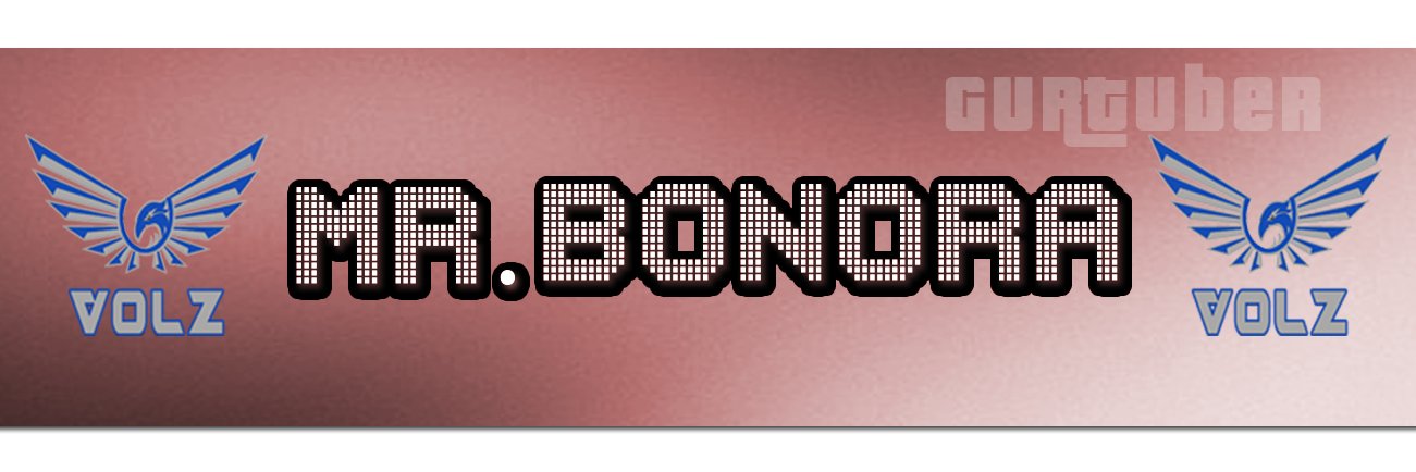 Steve Bonora banner