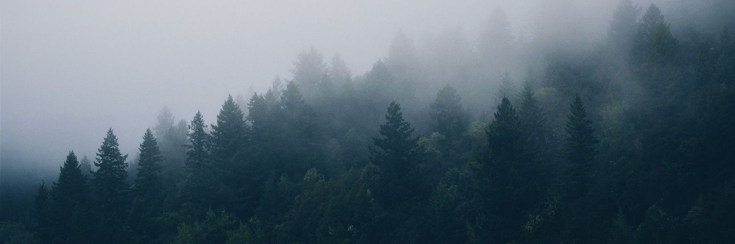 focus_mystique's profile banner image