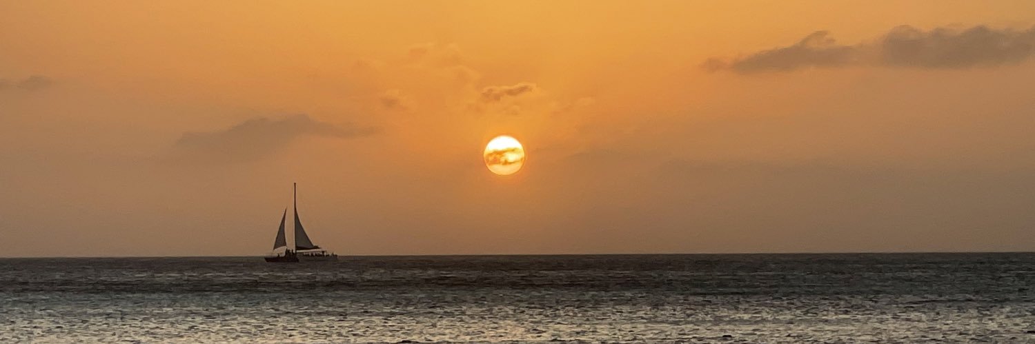 sschoop29's profile banner image