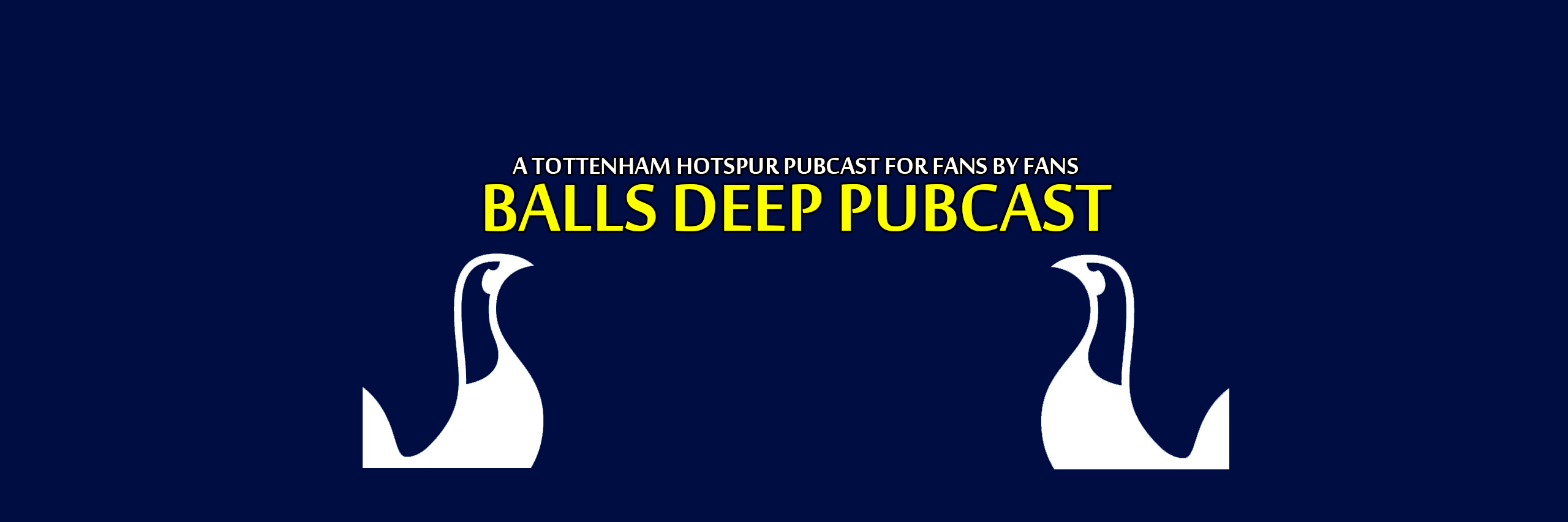 ballsdeepcast's profile banner image