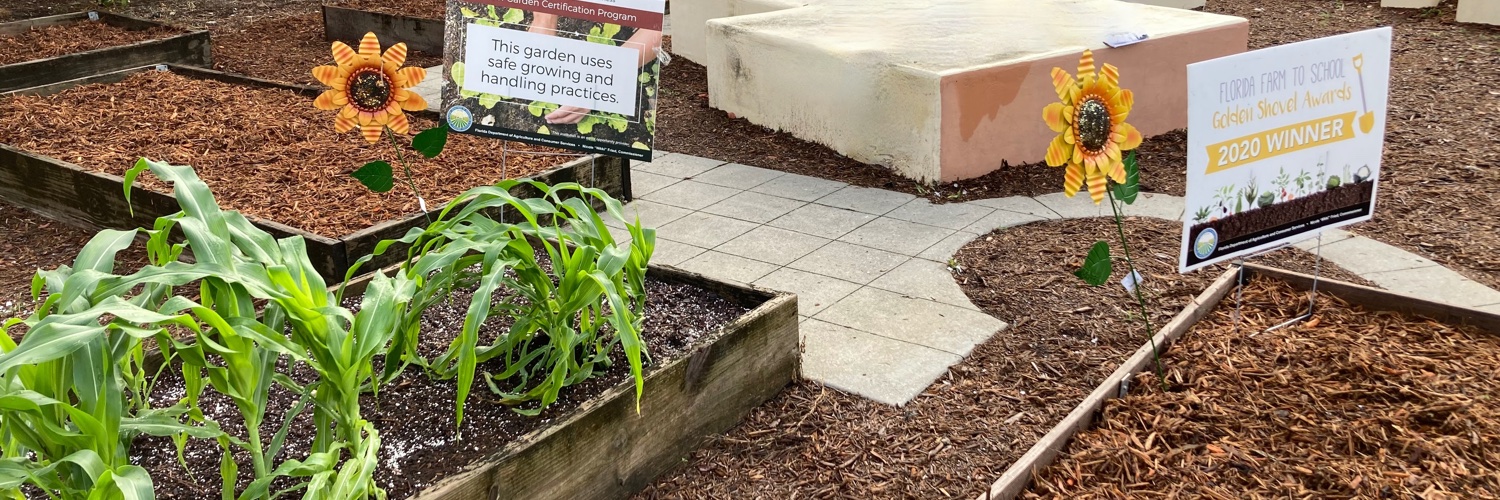 Sally Smollar banner