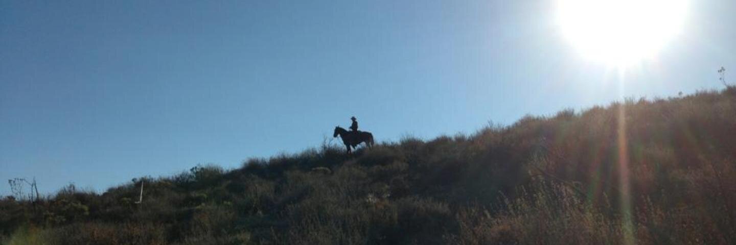 Erna L. Adelson banner