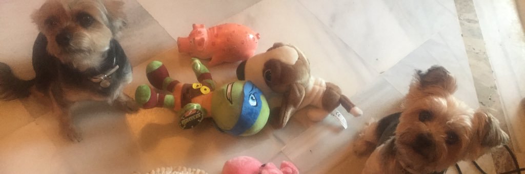 BexSmetham's profile banner image