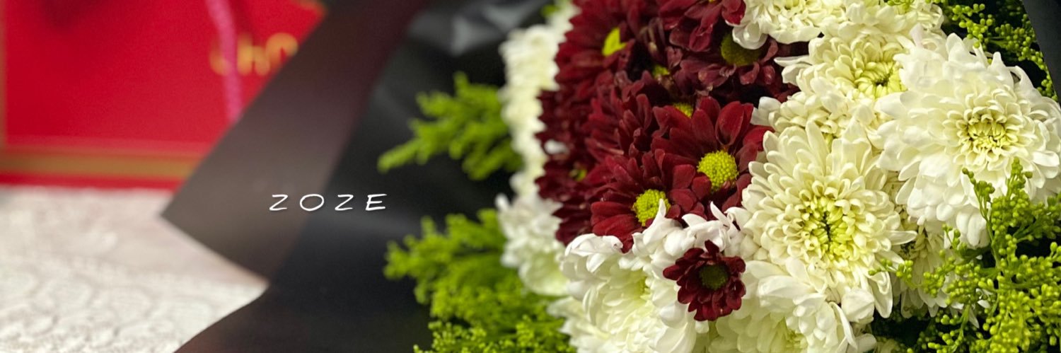 zoze_edrees's profile banner image