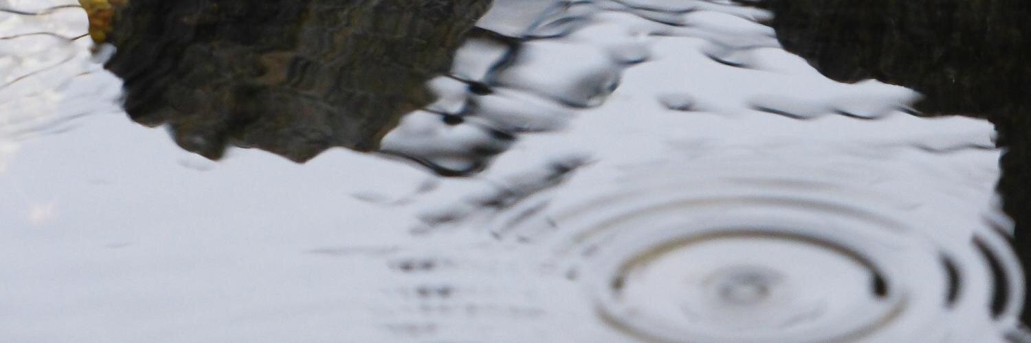 PeterLilius's profile banner image