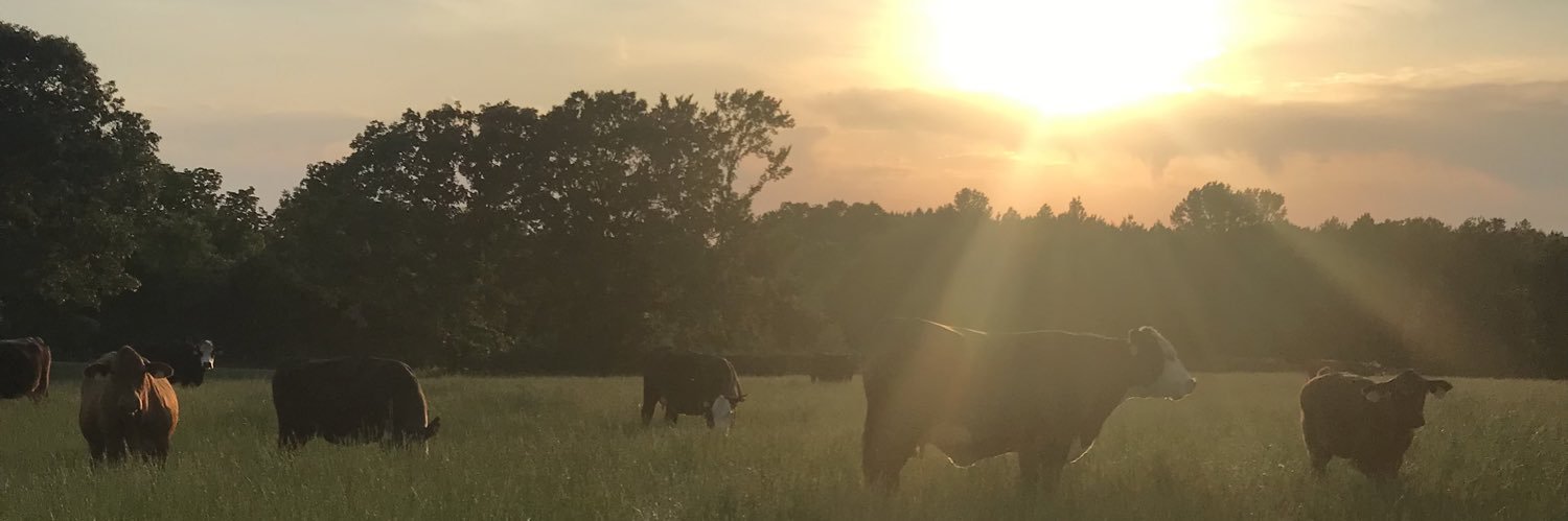 cwsdusty's profile banner image