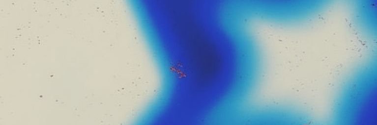 Icyshaneee's profile banner image