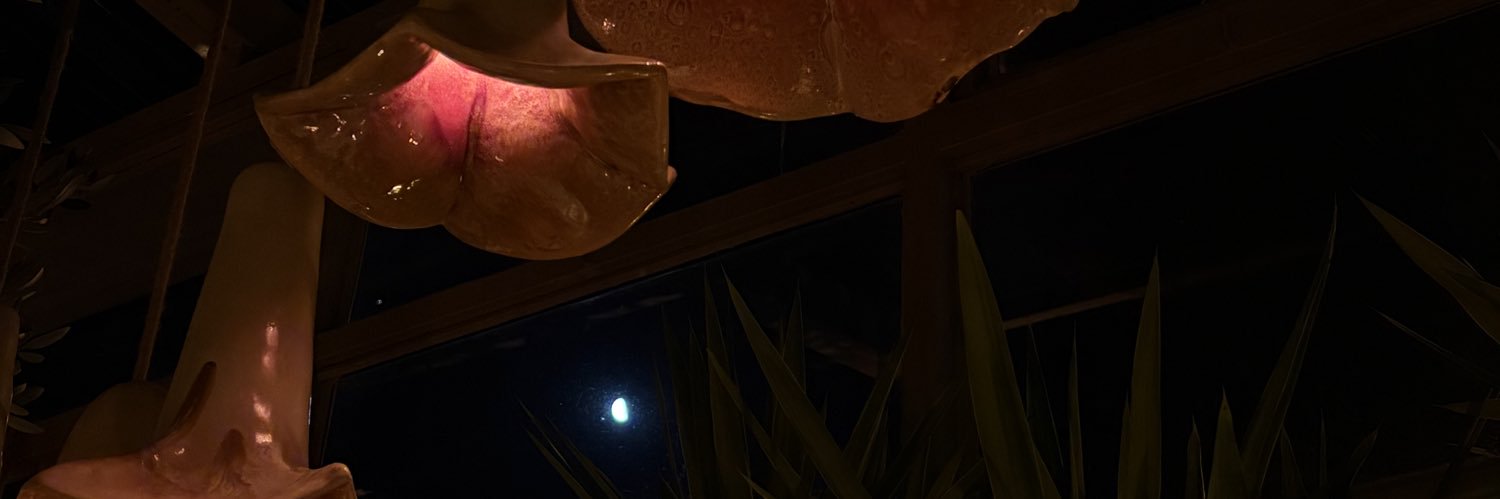 CamiCappelli's profile banner image
