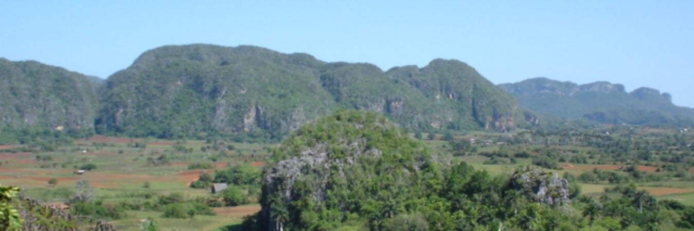 Martha E Carrillo banner