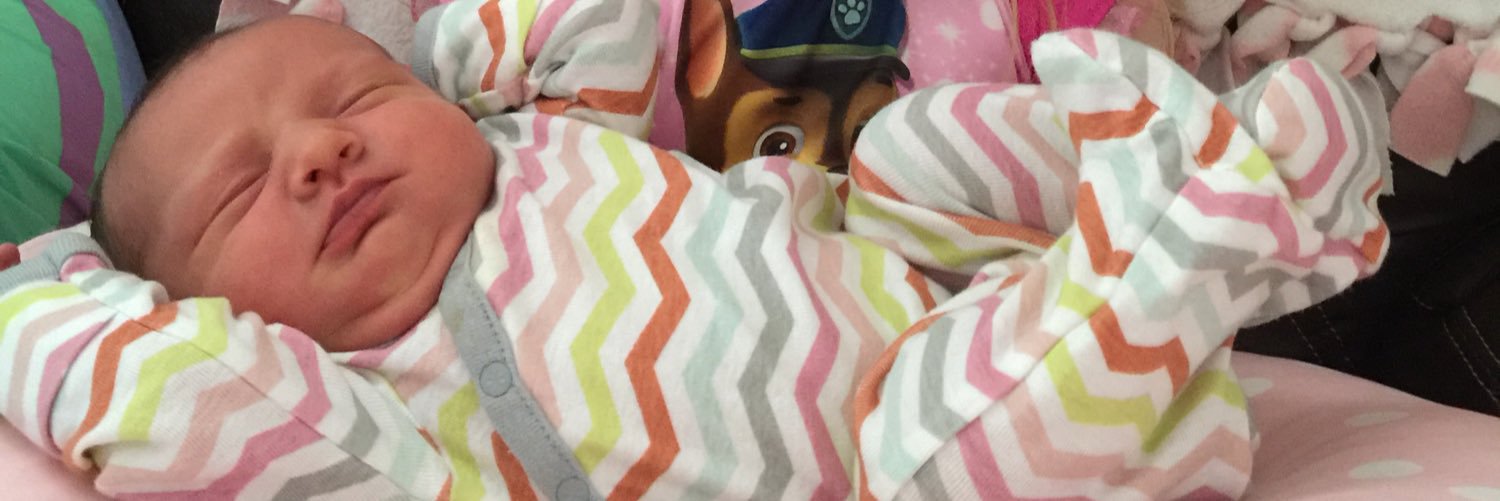 TheBigWiggle's profile banner image