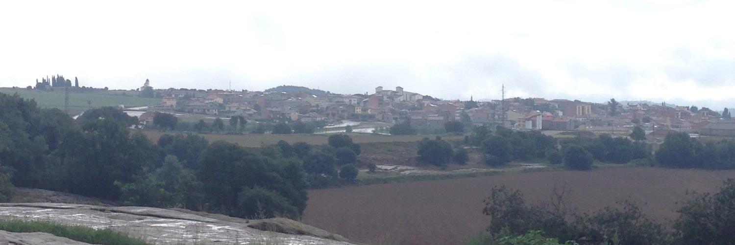 ariponsa's profile banner image