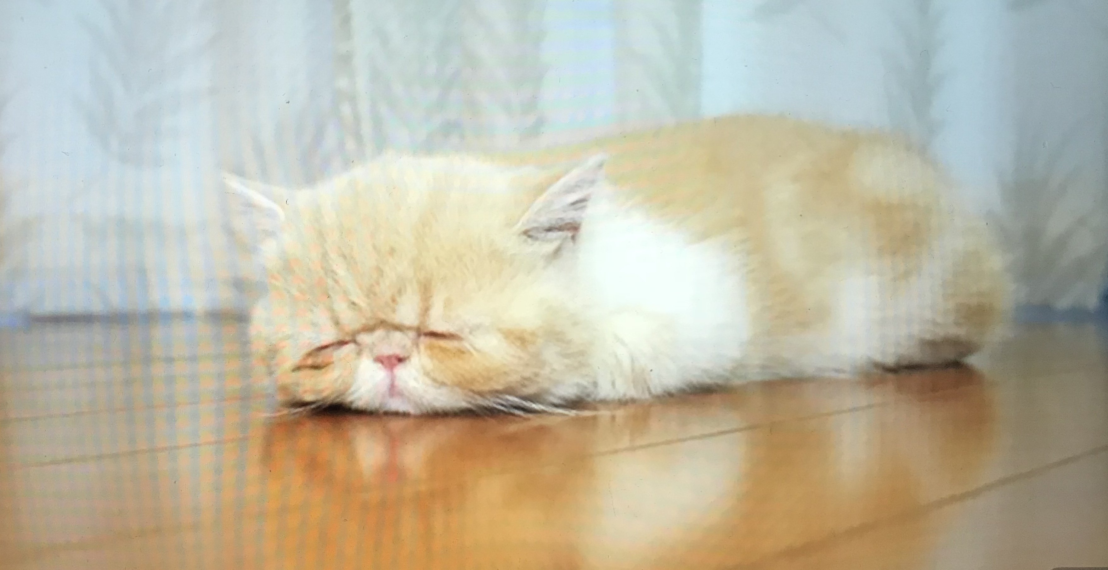deg_dc_ak's profile banner image