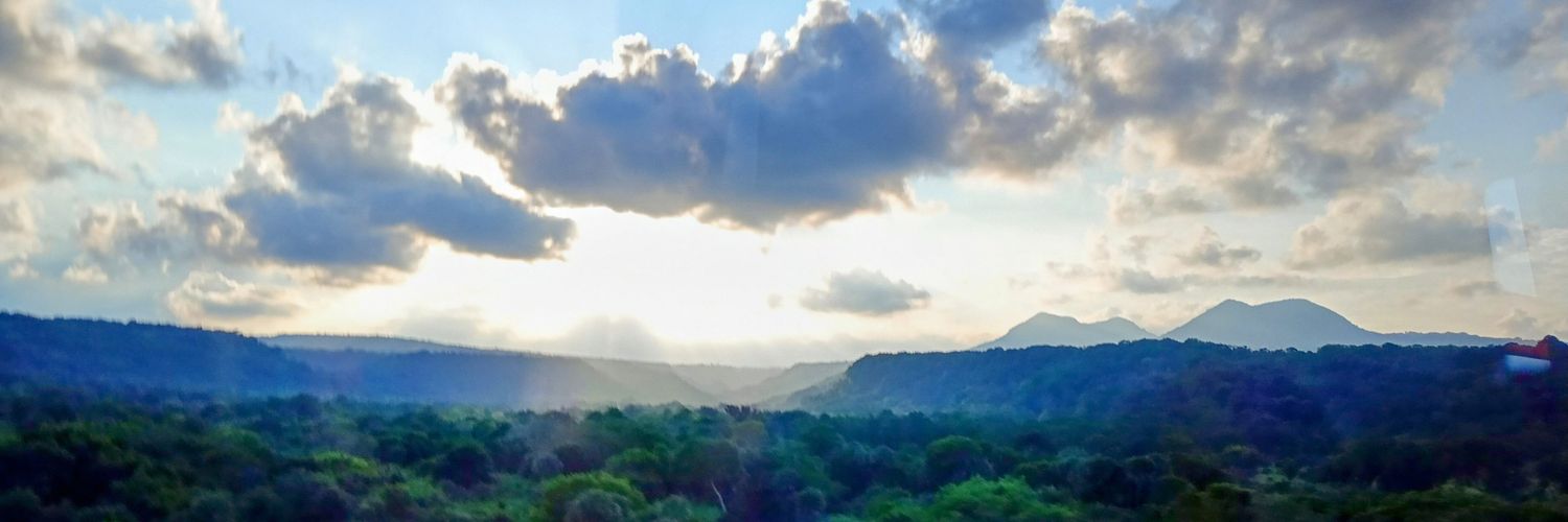 María Soledad banner