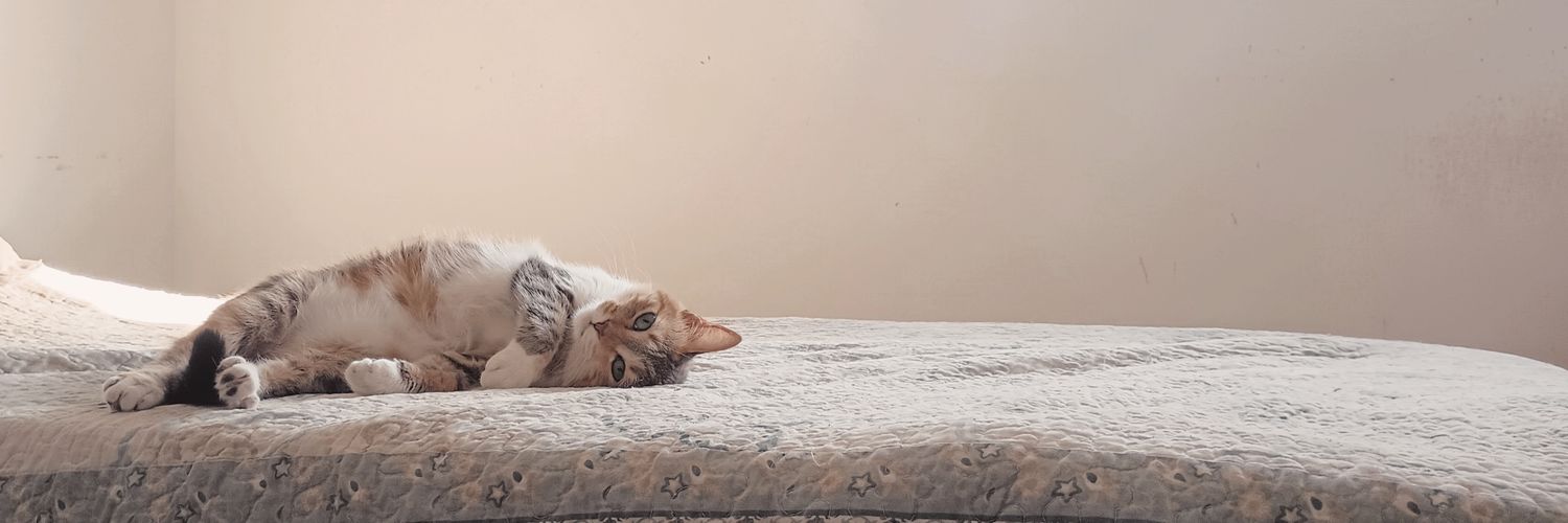 Joose_Calderon's profile banner image