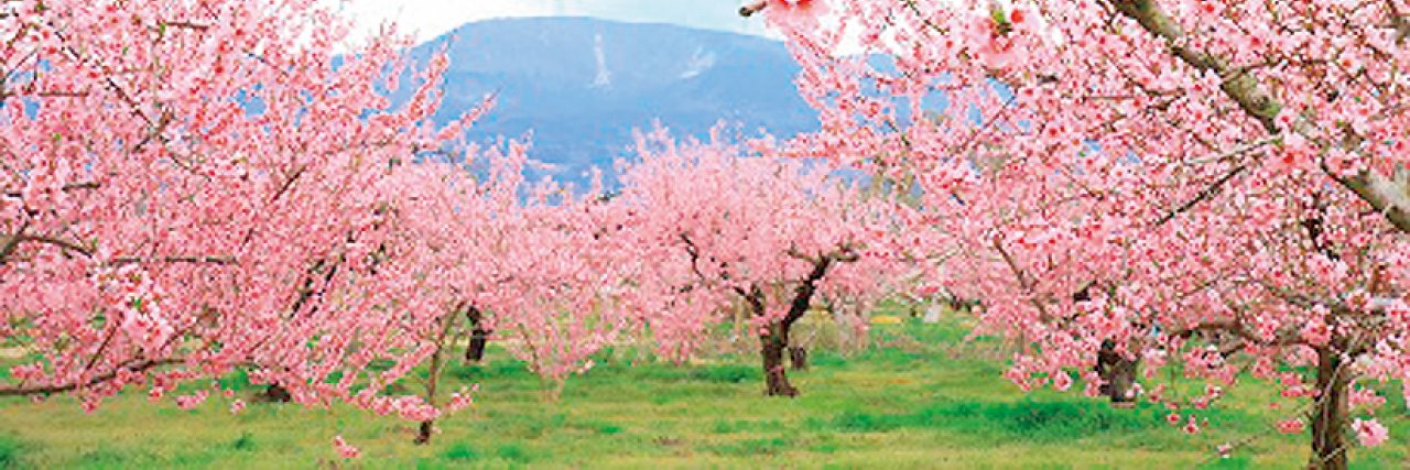 casimomo74's profile banner image