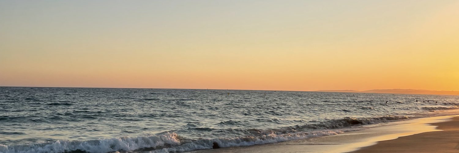 inesbarbosaa's profile banner image