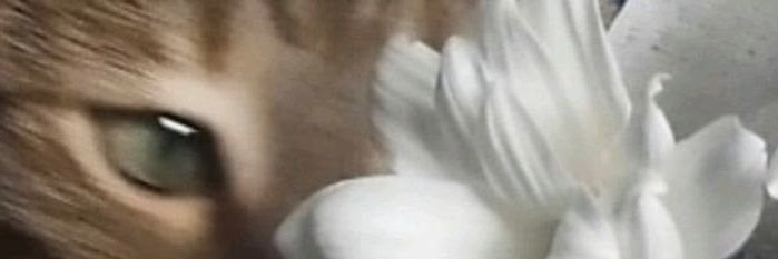 itshessa29's profile banner image