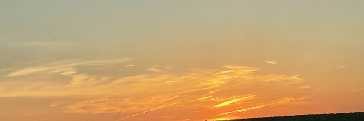 franshellly's profile banner image