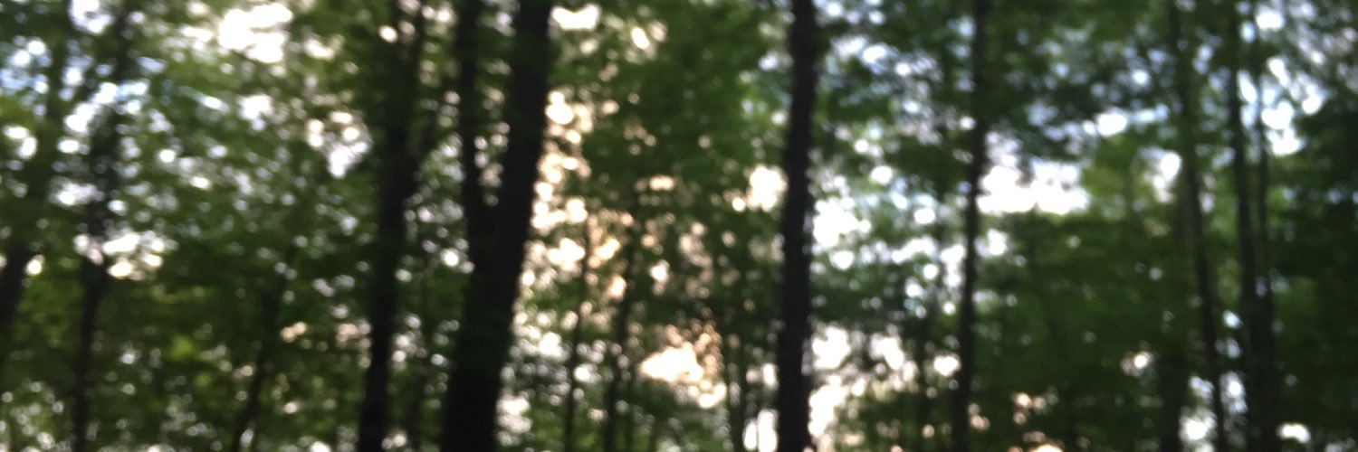 CaroVaughn's profile banner image