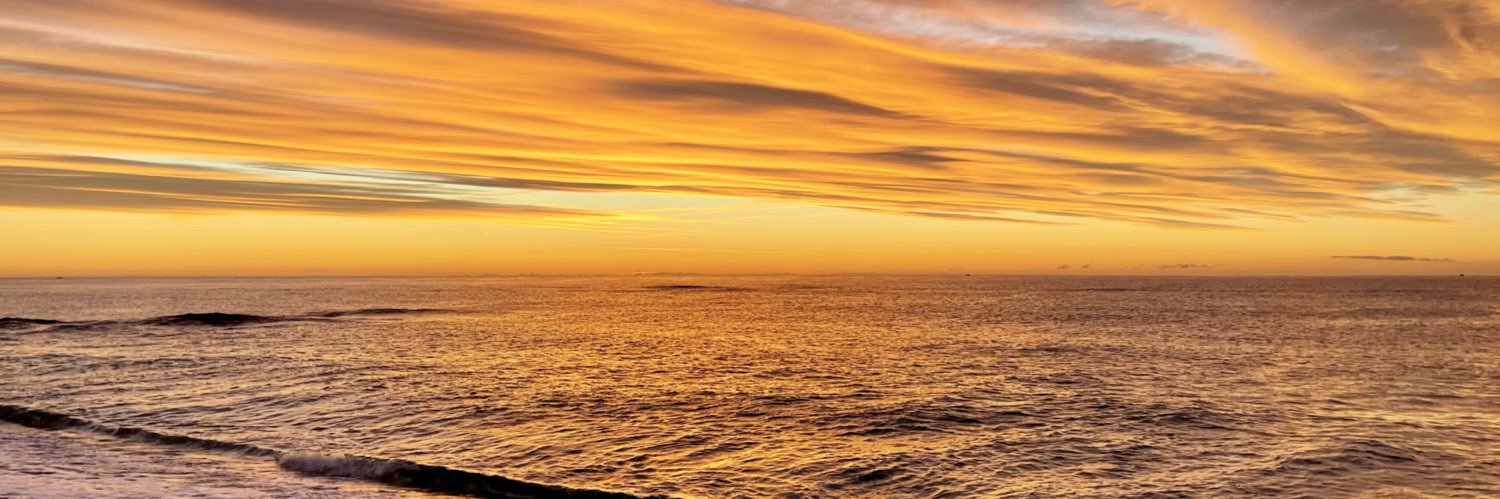 Joan Rangel Tarrés banner