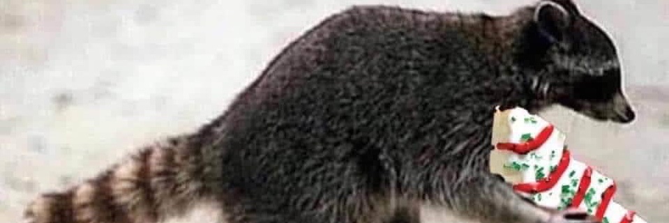 jamesharrisonst's profile banner image