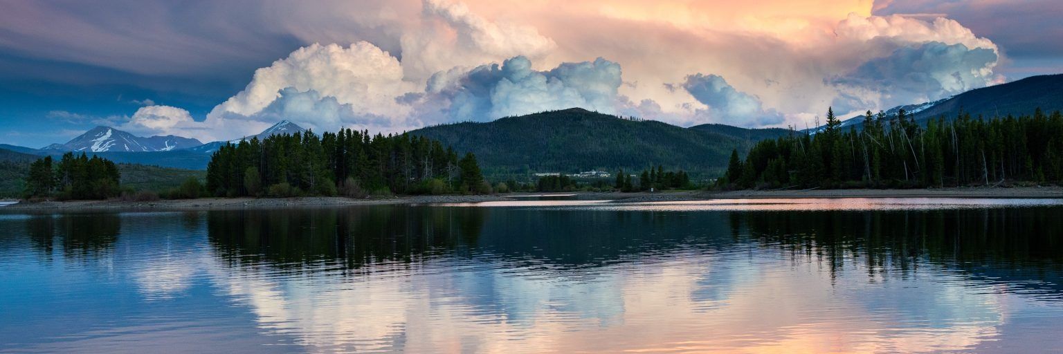 IdgeeT (Beecharmer) banner