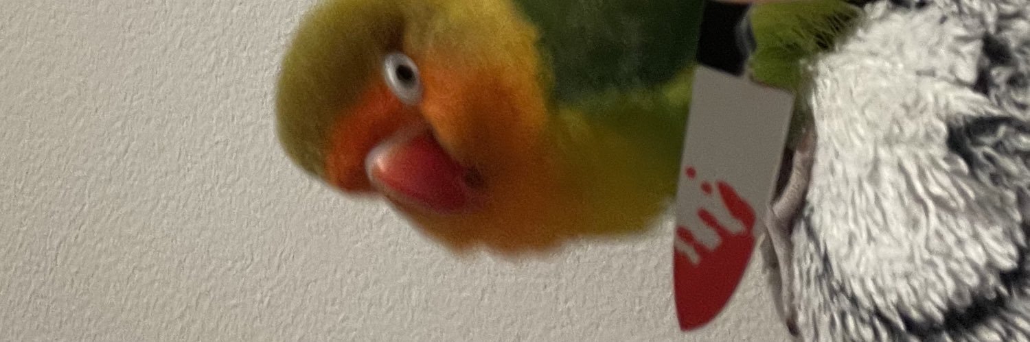 duckinfernal's profile banner image