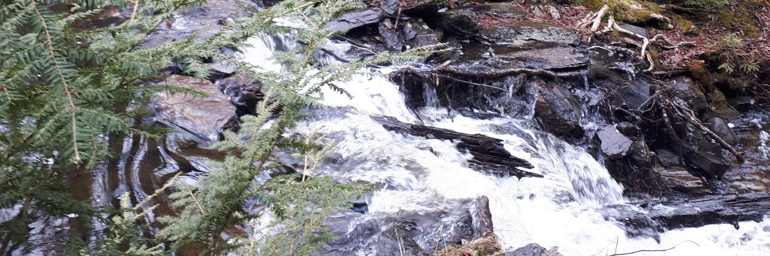 tidalwavemarine's profile banner image