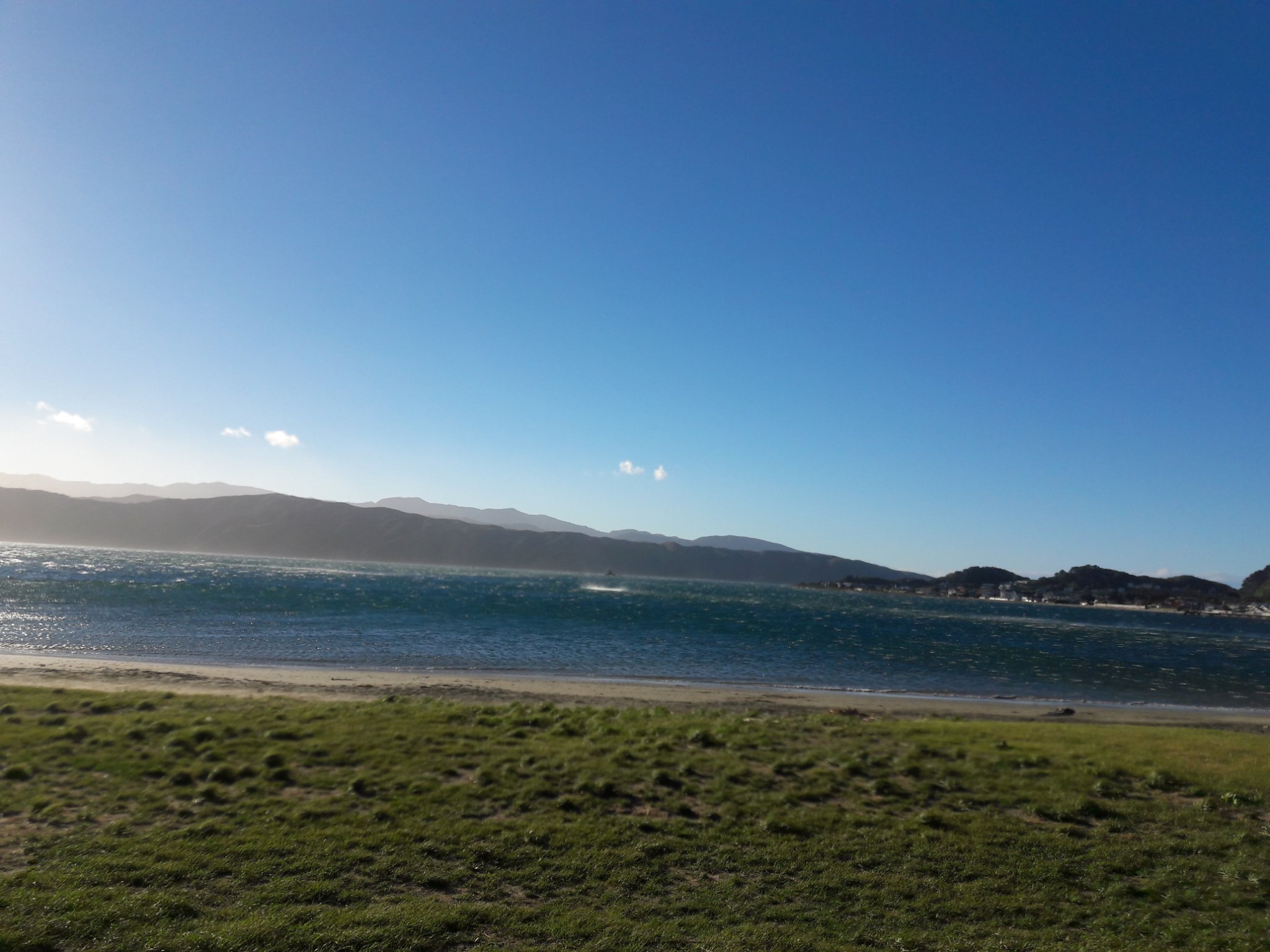 @Sarah_Jackson banner