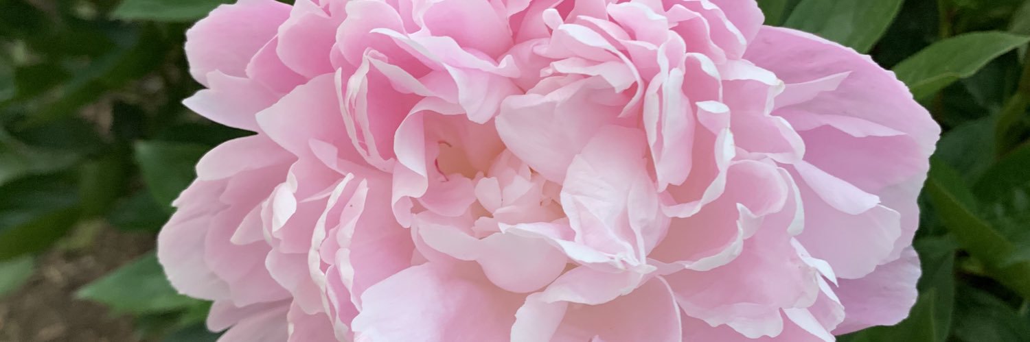 simply_cait's profile banner image