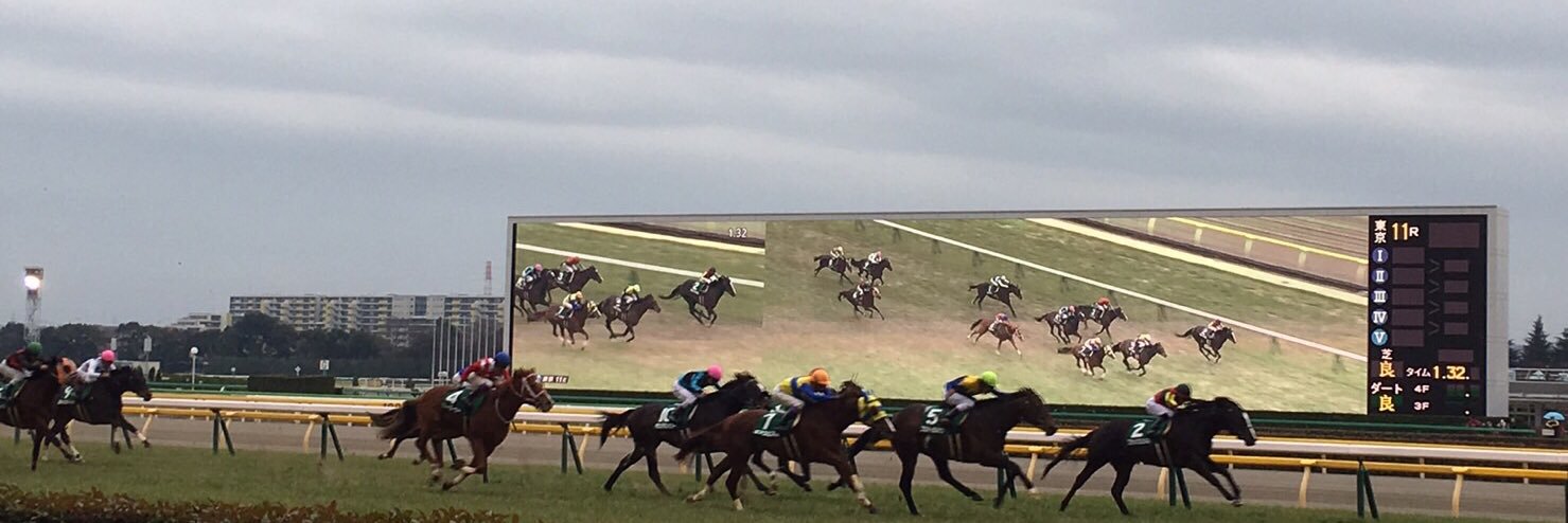 ゴールドジョーカー banner