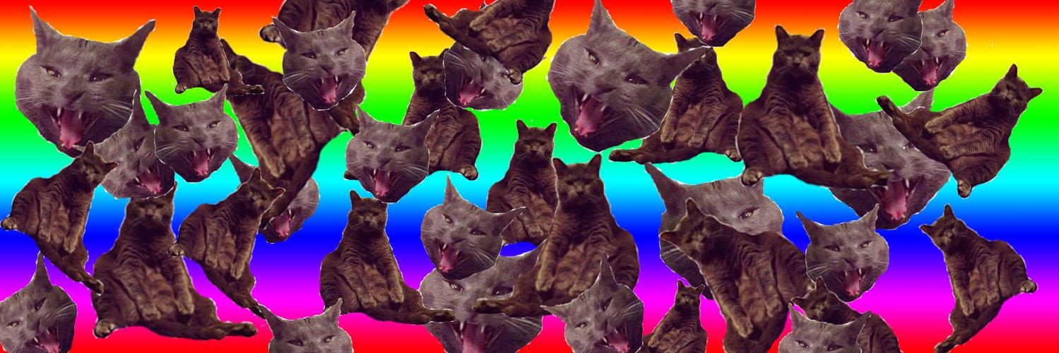 nicole🐱💕 banner