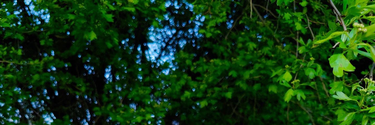 Kder_Akn's profile banner image