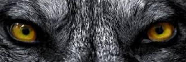 Antoac77's profile banner image
