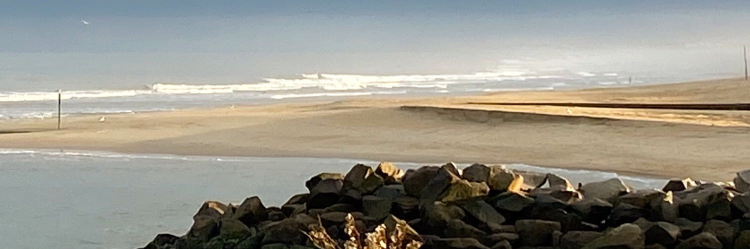 alyse_hancock's profile banner image