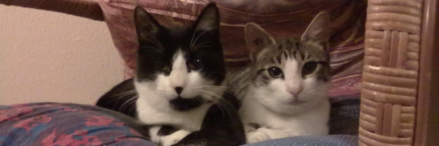 Michel Litout banner