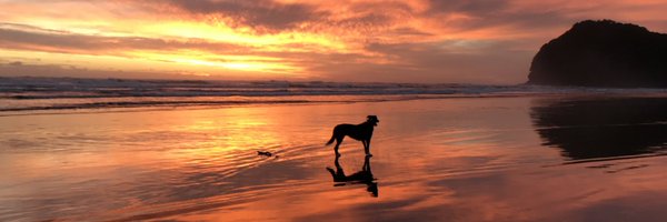 cindybax Profile Banner