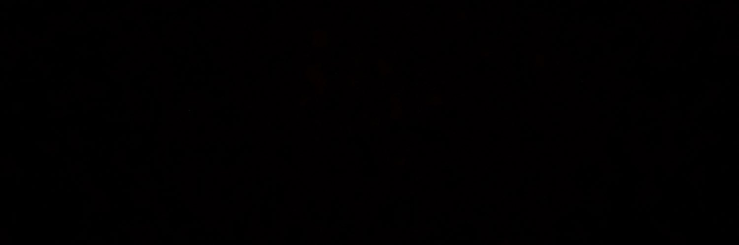 bravi_sofia's profile banner image