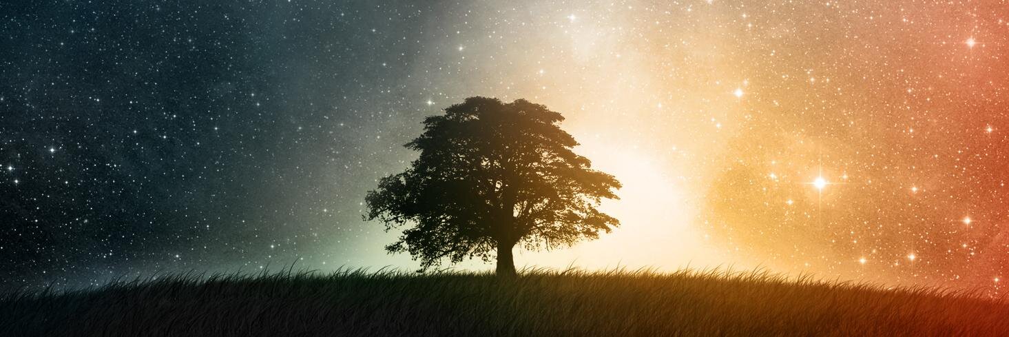 Royalocks's profile banner image