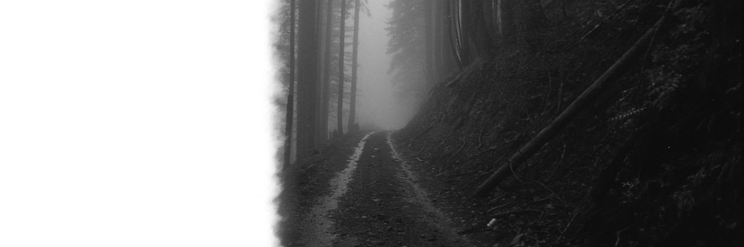 irlxins's profile banner image