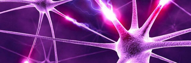 Ana Belén Vintimilla banner