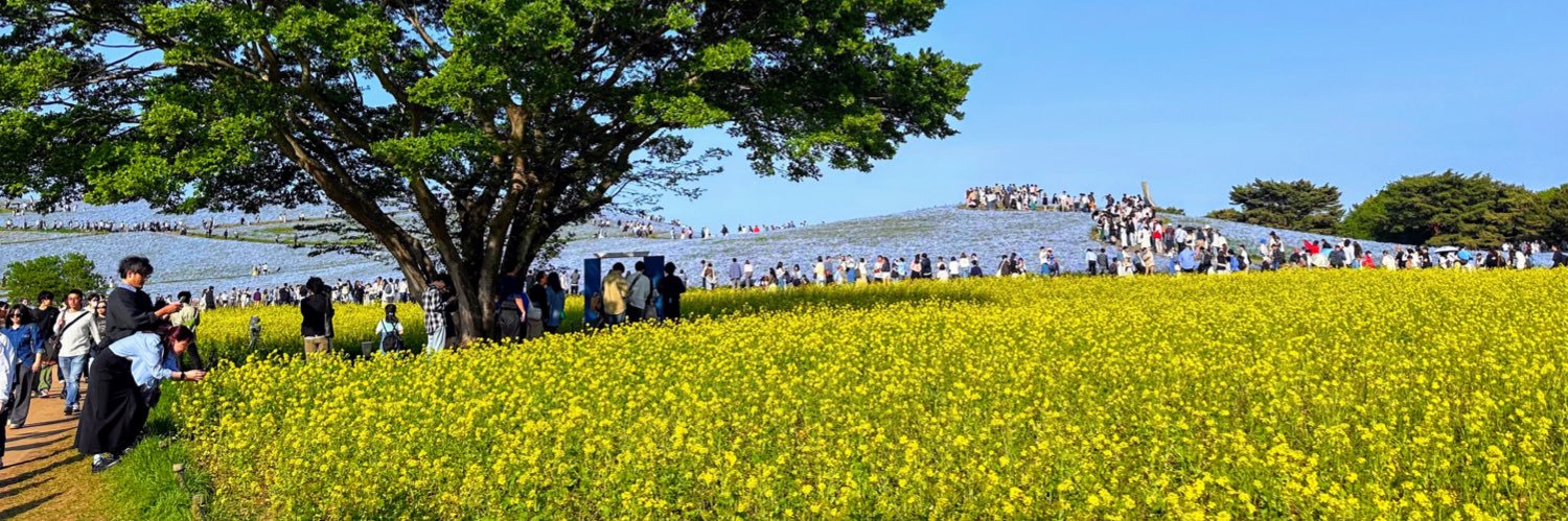 Yuta Aoki, D.Sc. banner