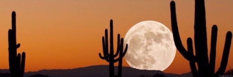 RumHam21's profile banner image