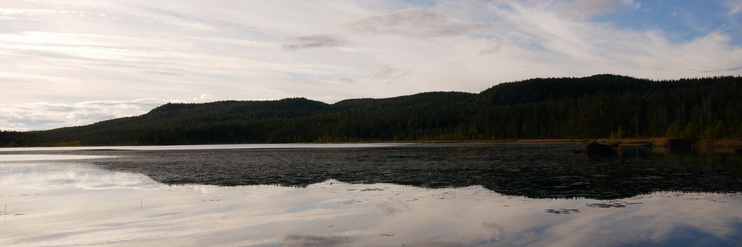 Noah Salvetti banner