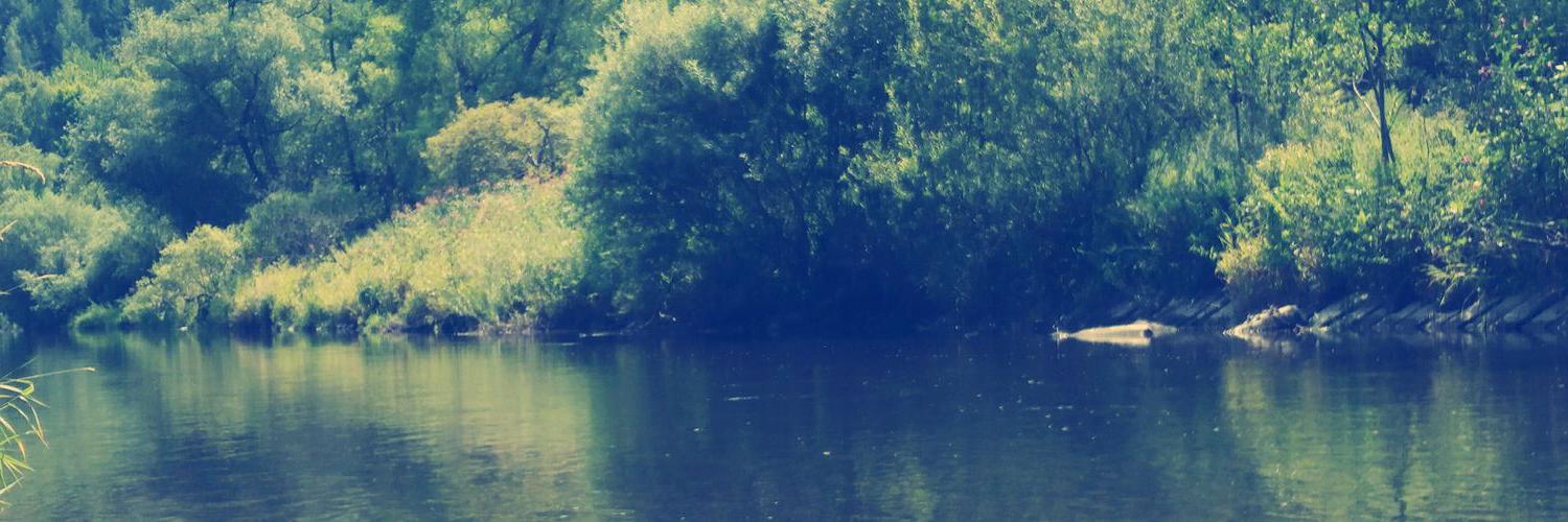 MininFee's profile banner image