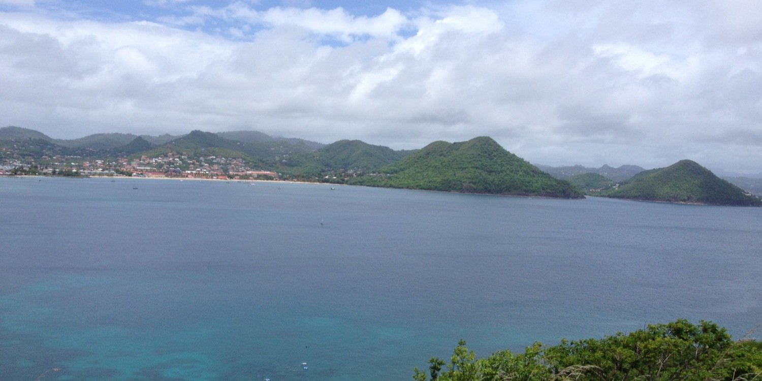 Levi Roberson banner