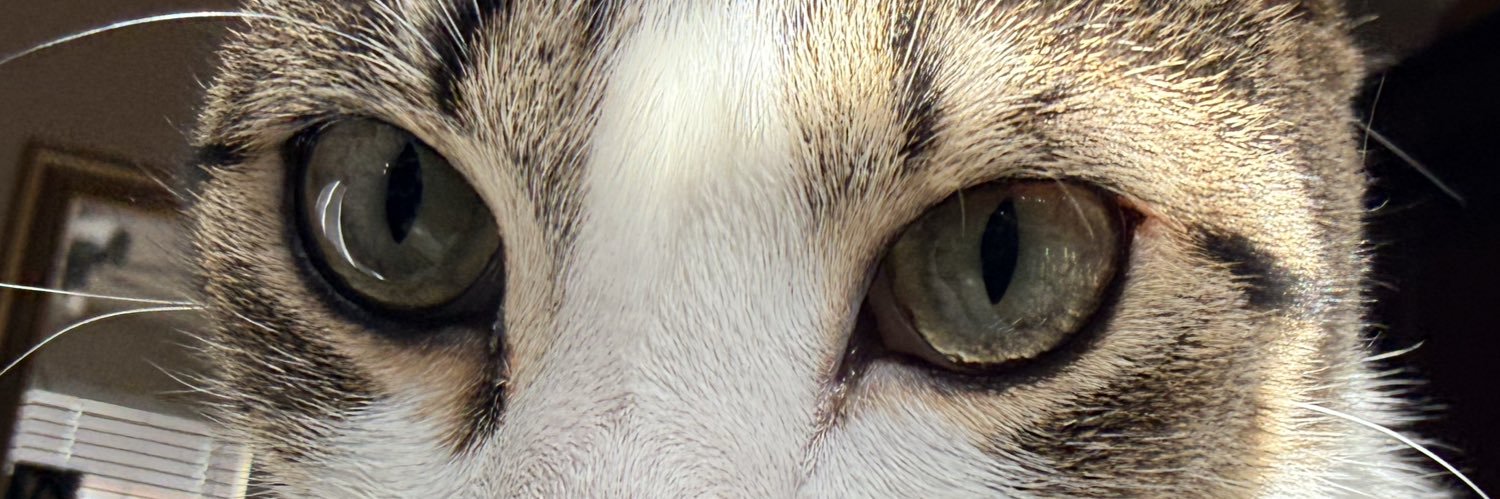 akamandyy's profile banner image